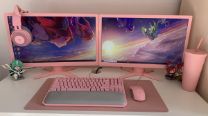 pink-computer-300x168