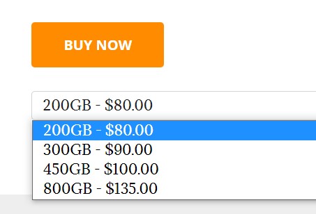 pricing